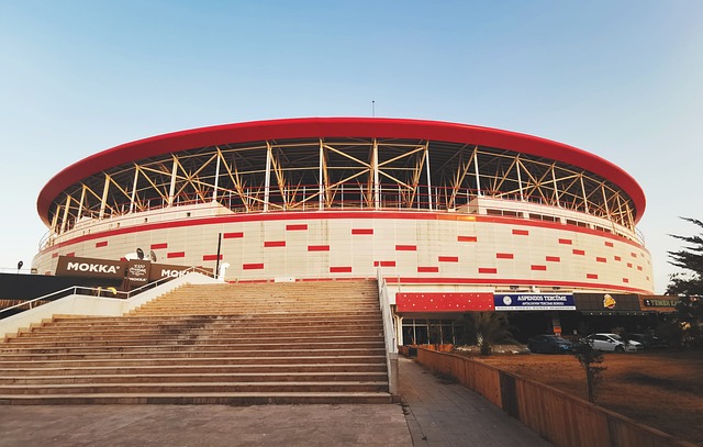 综上所述 综上所述