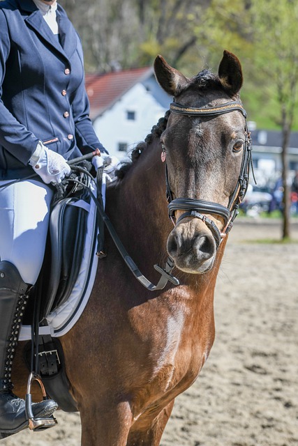 并详细解析 并详细解析