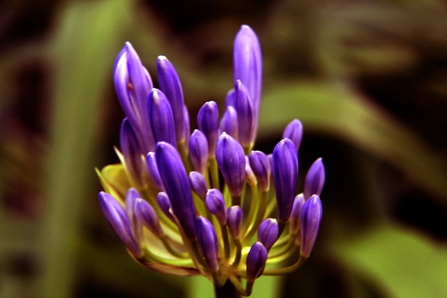 为球队注入 为球队注入