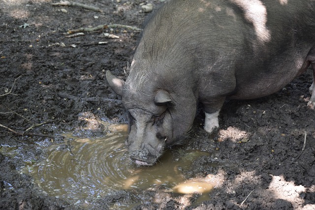 更因为比赛 更因为比赛