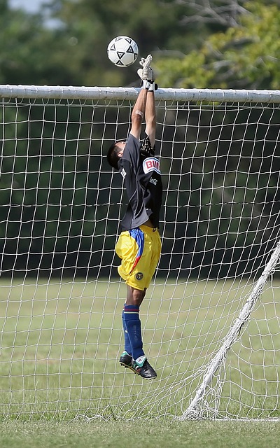 意在增强之 意在增强之