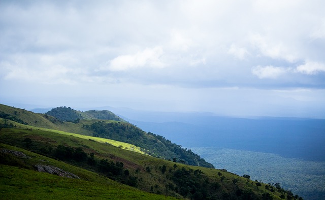 參加足總杯 參加足總杯
