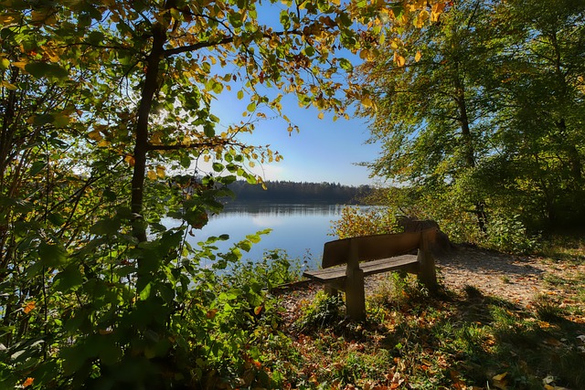 足坛产生广 足坛产生广